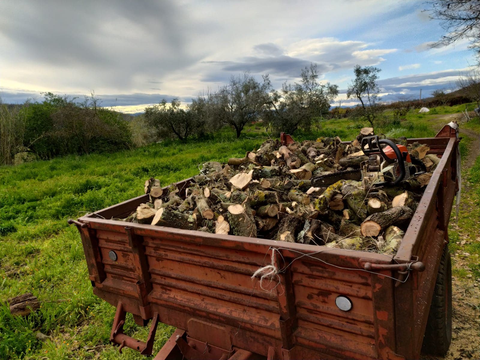 Vita in fattoria a Le Piaje