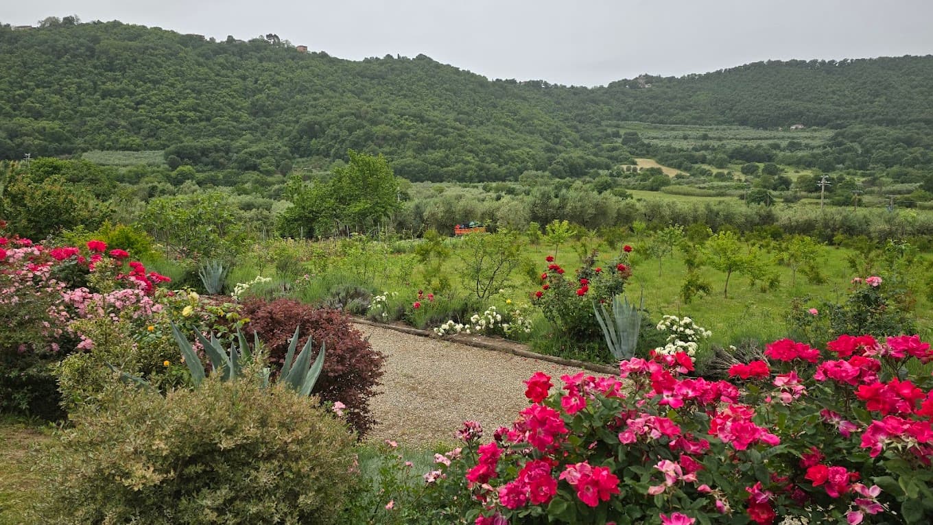 Property thumbnail 11