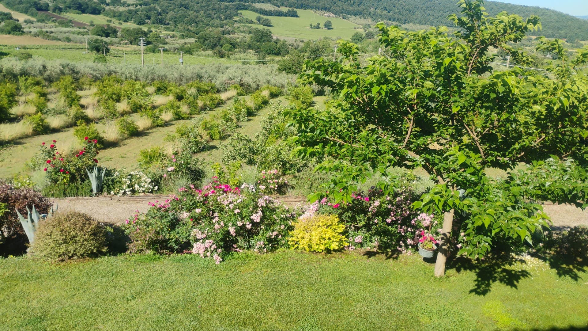 Property thumbnail 16