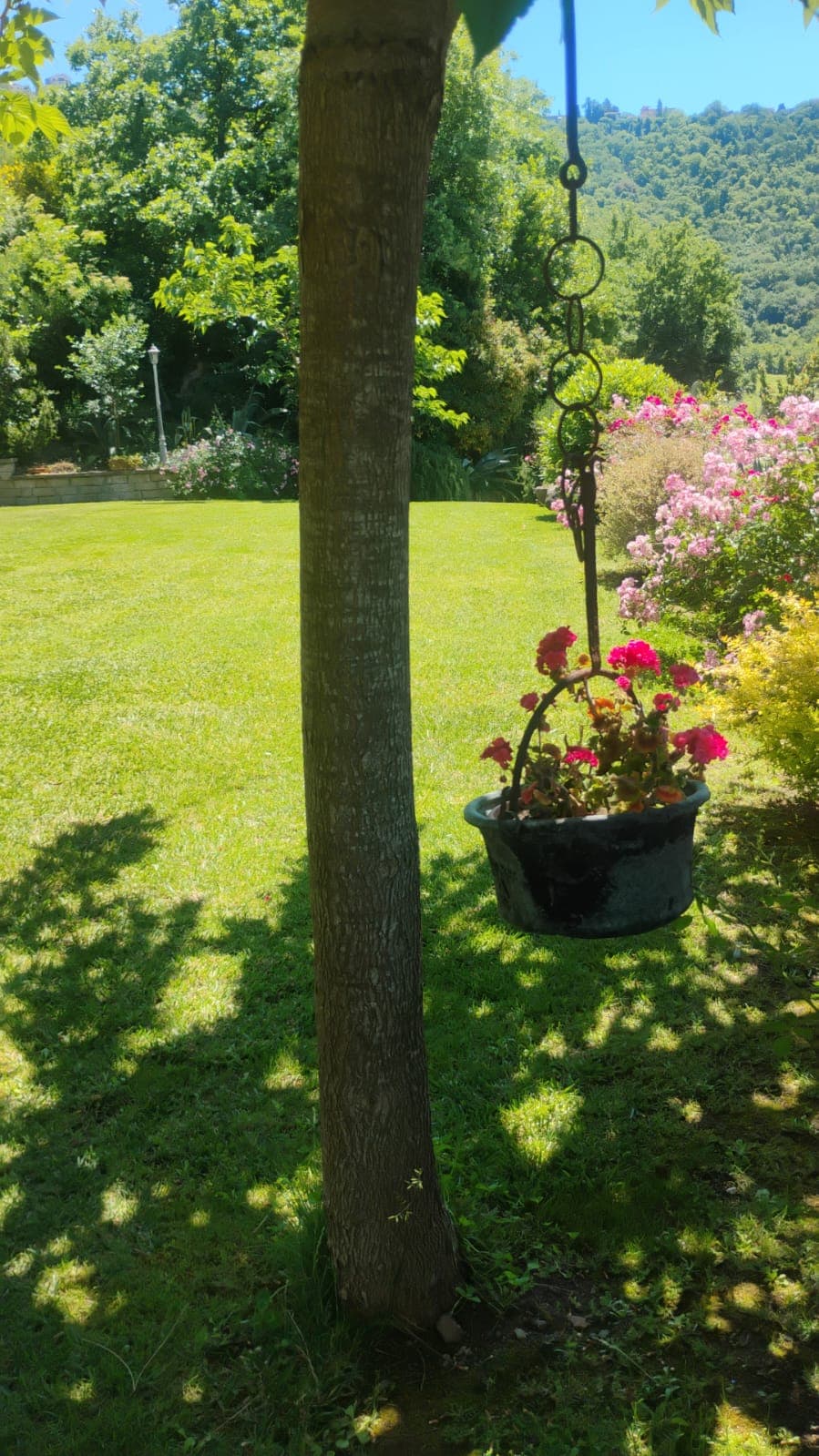 Property thumbnail 24